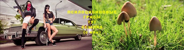 марки lsd Алексин