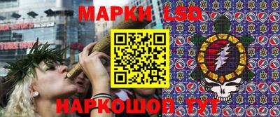 прущие грибы Кингисепп
