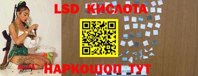 прущие грибы Кингисепп