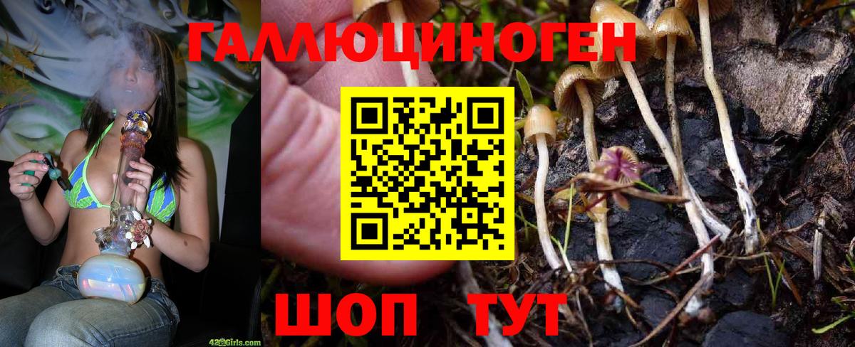 Псилоцибиновые грибы ЛСД Феодосия